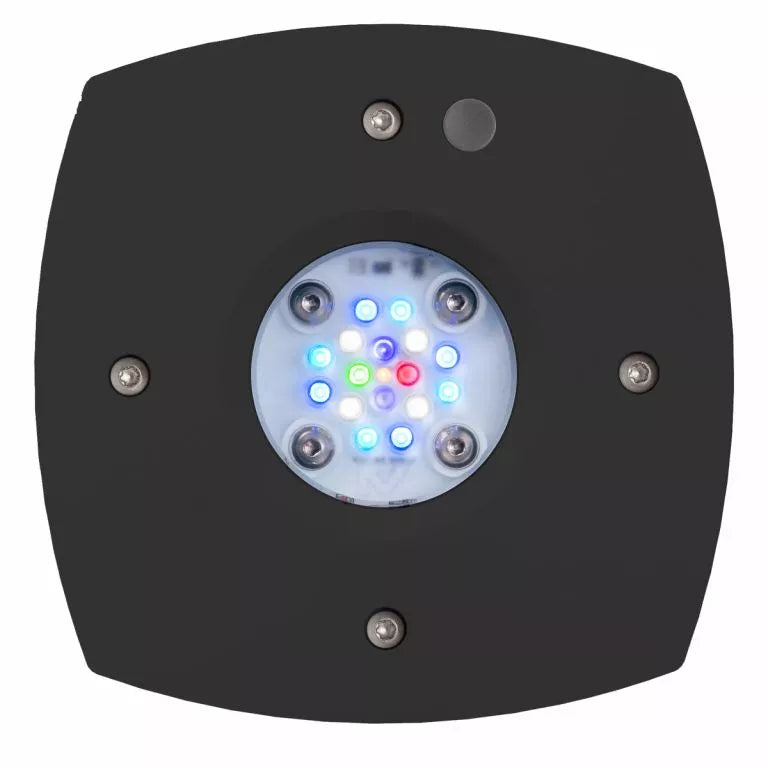 AI Prime 16HD