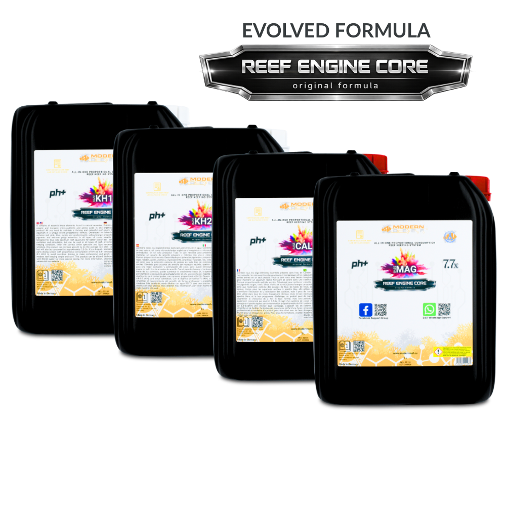 Modern Reef RKS 7.7x – Reef Engine Core 7.7x High Concentrate 4x5L Set
