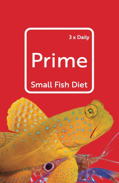 Prime Small Fish Diet - Atoll