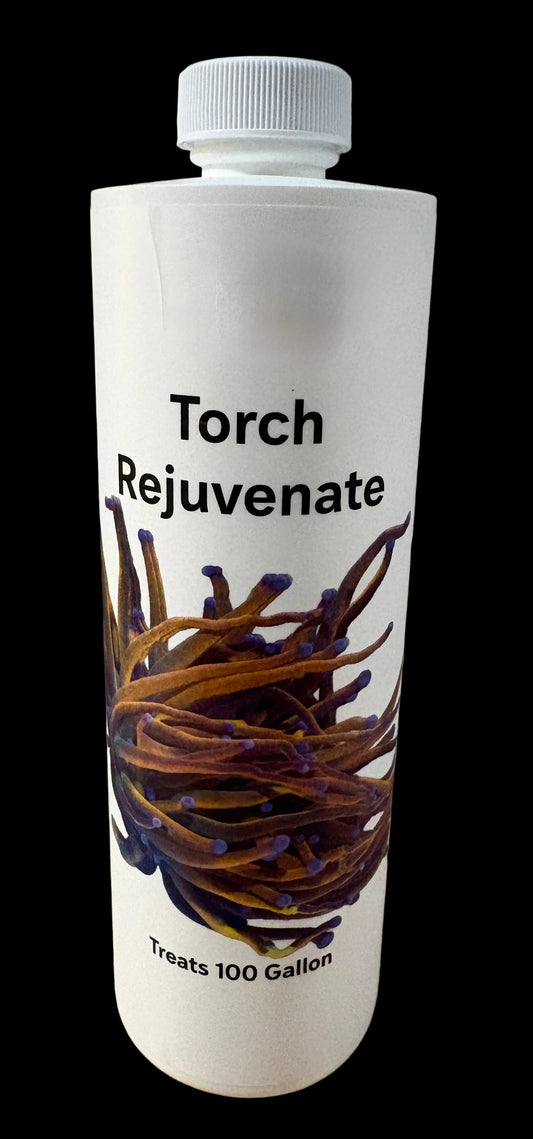 Torch Rejuvenate