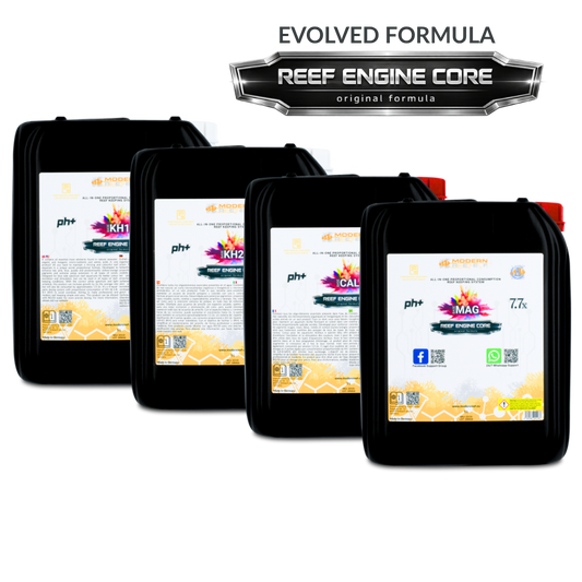 Modern Reef RKS 7.7x – Reef Engine Core 7.7x High Concentrate 4x5L Set