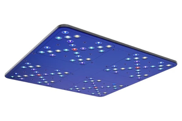 Straton X LED Fixture